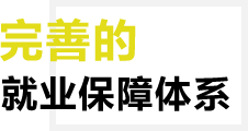 完善的就业保障体系